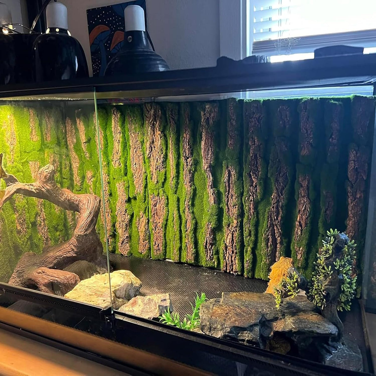 Cork Terrarium Background,Reptile Bark Backdrop Wall Decor and Artificial Moss for Gecko,Lizard,Tortoise,Chameleon (2 Pack)