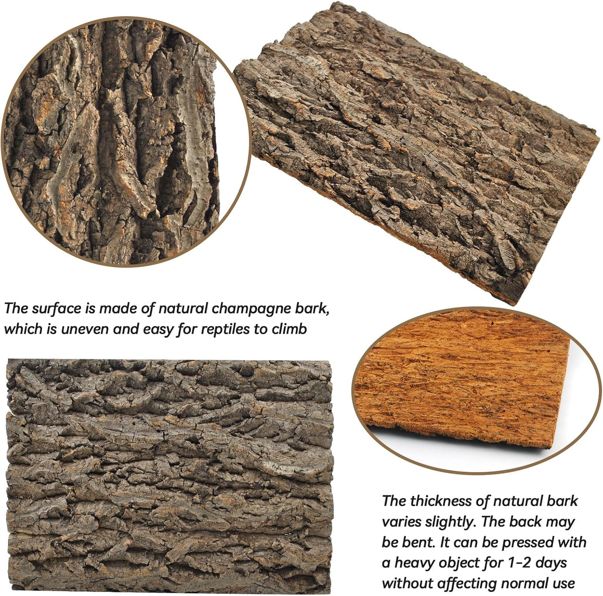 Cork Terrarium Background,Reptile Bark Backdrop Wall Decor and Artificial Moss for Gecko,Lizard,Tortoise,Chameleon (2 Pack)