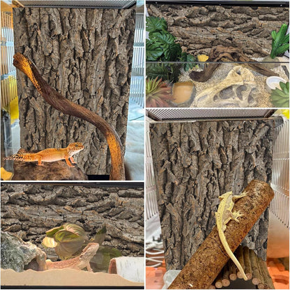 Cork Terrarium Background,Reptile Bark Backdrop Wall Decor and Artificial Moss for Gecko,Lizard,Tortoise,Chameleon (2 Pack)