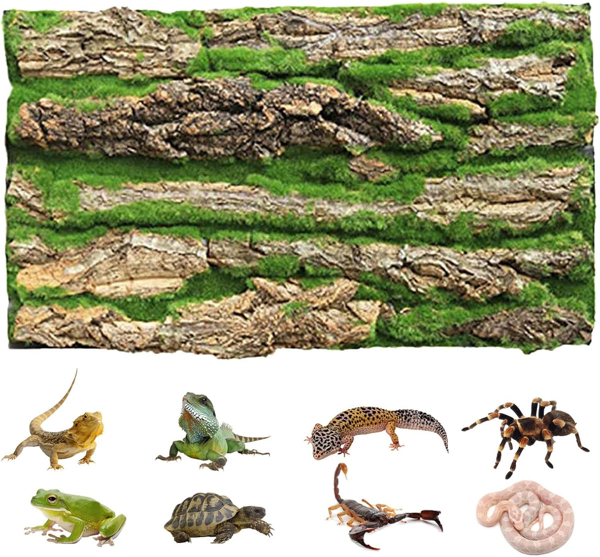 Cork Terrarium Background,Reptile Bark Backdrop Wall Decor and Artificial Moss for Gecko,Lizard,Tortoise,Chameleon (2 Pack)