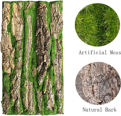 Cork Terrarium Background,Reptile Bark Backdrop Wall Decor and Artificial Moss for Gecko,Lizard,Tortoise,Chameleon (2 Pack)