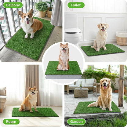 Dog Grass Mat with Pad 39x31.49: Potty Tray for Patio Balcony Apartment | Gray，Litter Box,Indoor Artificial Turf Grass, Puppy Indoor Outddor Potty Training, Washable Reusable, Leakproof, Pee On