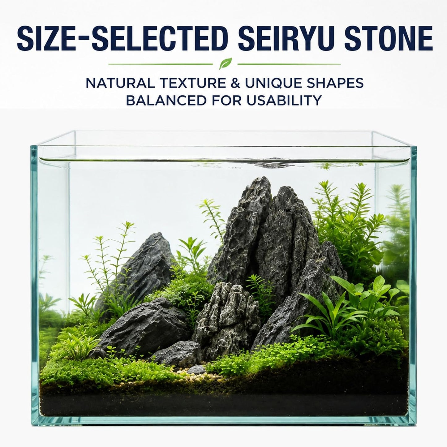 Dragon Stone Aquascaping Rocks, 1 lb (2-4"), Aquarium Stone Set | Beginner-friendly aquascaping • Easy layout building • Natural porous texture • Ideal for planted tanks