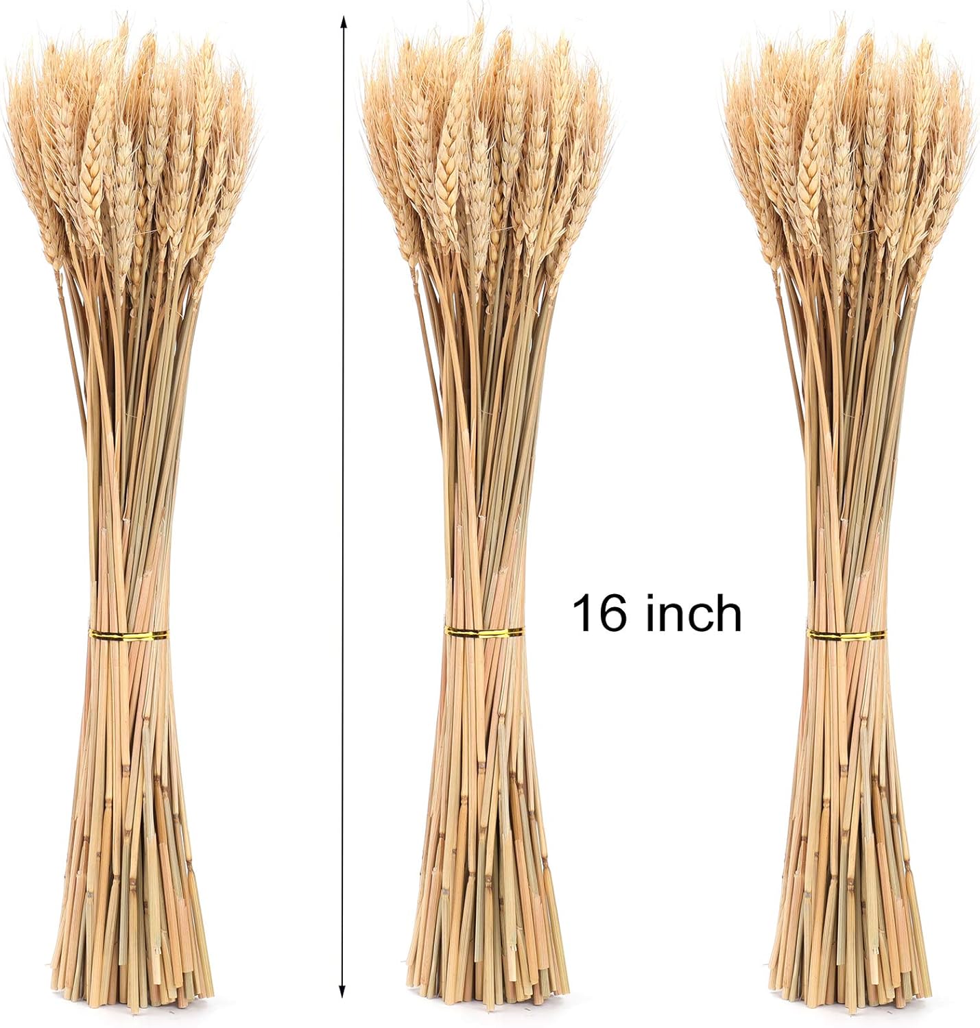 300 Stems Dried Wheat Stalks, 16 Inch Natural Wheat Sheaves Fall Arrangement for DIY Craft, Home Table, Wedding Decor