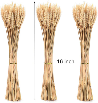 300 Stems Dried Wheat Stalks, 16 Inch Natural Wheat Sheaves Fall Arrangement for DIY Craft, Home Table, Wedding Decor