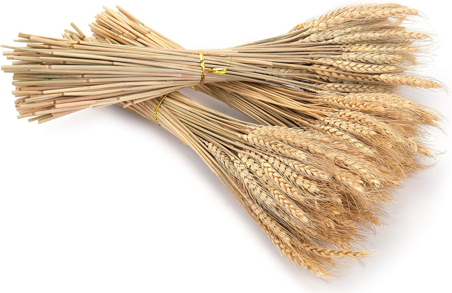 300 Stems Dried Wheat Stalks, 16 Inch Natural Wheat Sheaves Fall Arrangement for DIY Craft, Home Table, Wedding Decor