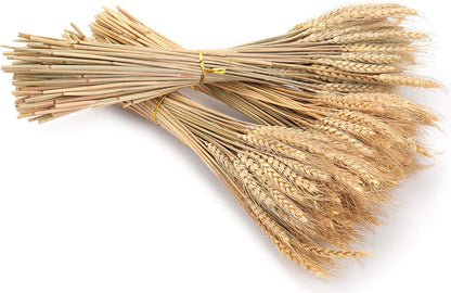 300 Stems Dried Wheat Stalks, 16 Inch Natural Wheat Sheaves Fall Arrangement for DIY Craft, Home Table, Wedding Decor