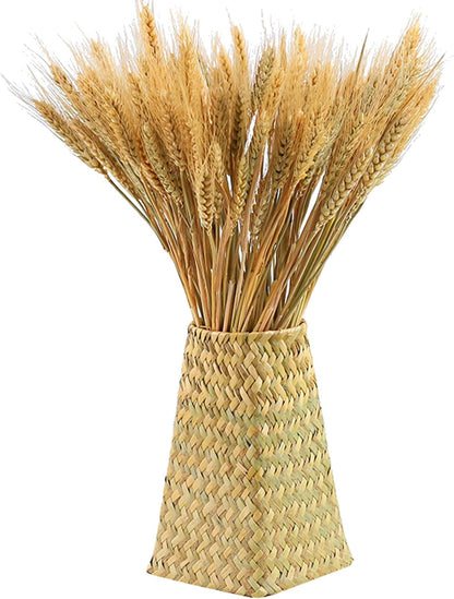 300 Stems Dried Wheat Stalks, 16 Inch Natural Wheat Sheaves Fall Arrangement for DIY Craft, Home Table, Wedding Decor