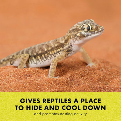 Rock Den, Naturalistic Hideaway for Gecko & Bearded Dragon, Medium