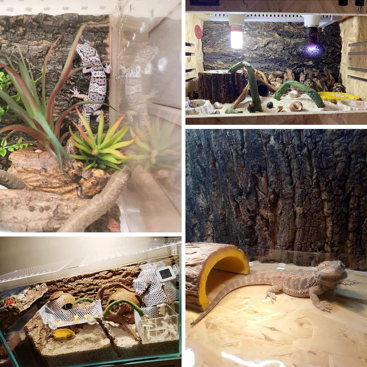 Cork Bark Background, 11.6" x 7.7" Natural Reptile Terrarium Backdrop, Reptile Climbing Wall Decor for Bearded Dragon, Gecko, Chameleon, Snake
