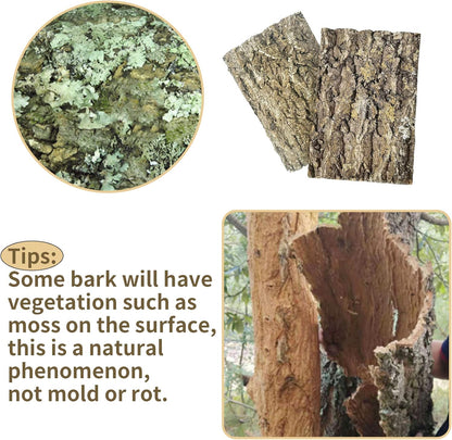 Cork Bark Background, 11.6" x 7.7" Natural Reptile Terrarium Backdrop, Reptile Climbing Wall Decor for Bearded Dragon, Gecko, Chameleon, Snake