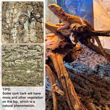 Cork Bark Background, 11.6" x 7.7" Natural Reptile Terrarium Backdrop, Reptile Climbing Wall Decor for Bearded Dragon, Gecko, Chameleon, Snake