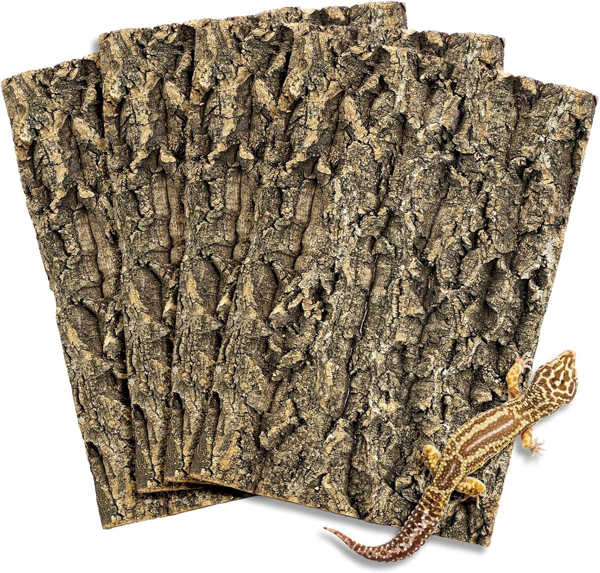 Cork Bark Background, 11.6" x 7.7" Natural Reptile Terrarium Backdrop, Reptile Climbing Wall Decor for Bearded Dragon, Gecko, Chameleon, Snake