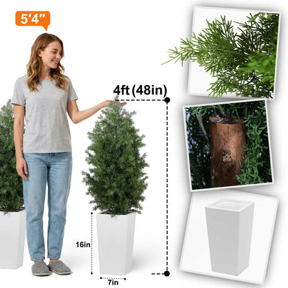 6ft Artificial Bird of Paradise Tree for Home Decor, 6 Feet Faux Floor Plant Fake Silk Banana Leaf Tropical Trees with Pot for Indoor Outdoor House Living Room (6 ft Tall Including Raised Pot)