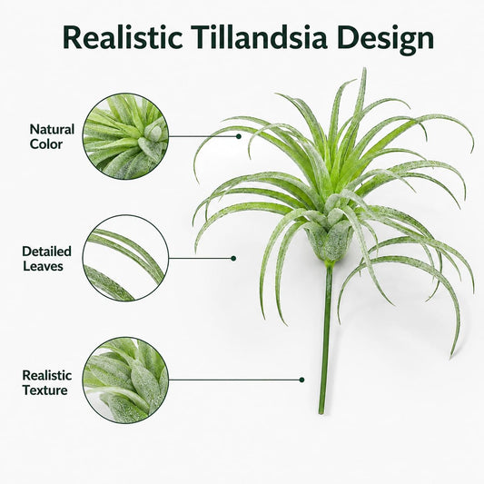 2 Pack Artificial Air Plants, Realistic Looking Faux Tillandsia Succulents Plants for Home Decor, Indoor Outdoor Garden, Terrarium, Office Desk, Wedding Displays (Green)