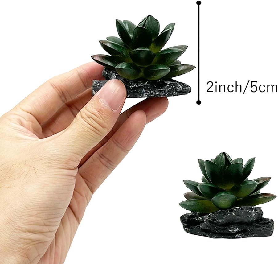 Reptile Artificial Plants Succulent Terrarium Decorative Desert Rainforest Plant Lizard Beard Chameleon Gecko Snake Amphibious Sea Turtle Tank Accessory (Agave-Set)