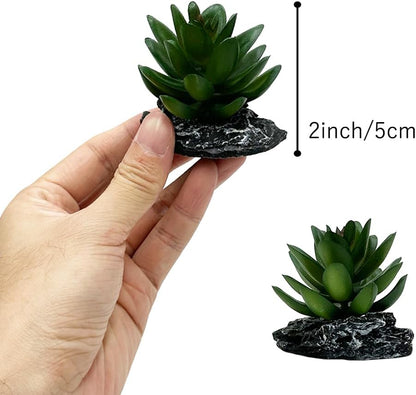 Reptile Artificial Plants Succulent Terrarium Decorative Desert Rainforest Plant Lizard Beard Chameleon Gecko Snake Amphibious Sea Turtle Tank Accessory (Agave-Set)