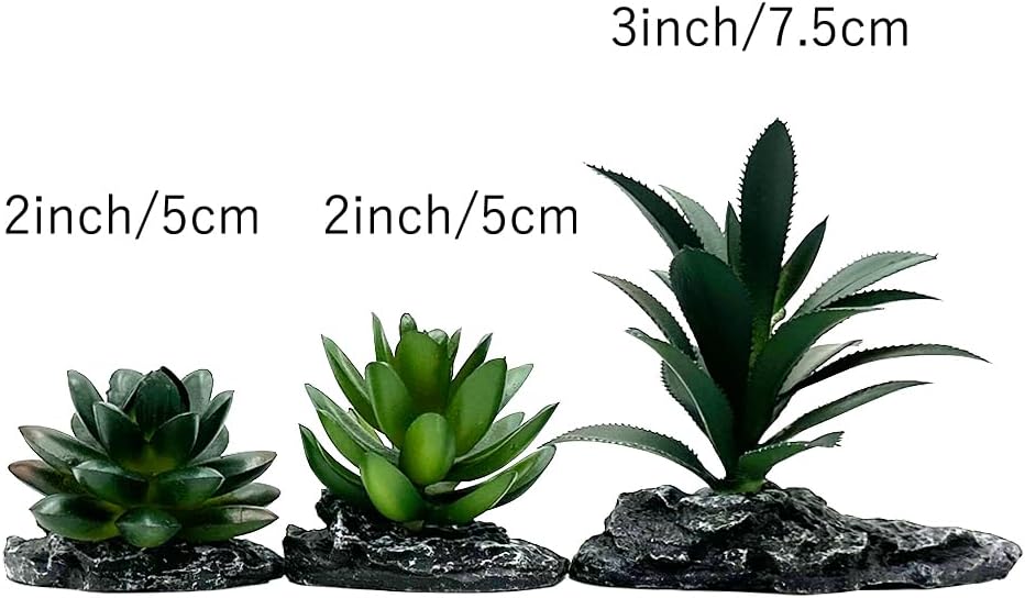 Reptile Artificial Plants Succulent Terrarium Decorative Desert Rainforest Plant Lizard Beard Chameleon Gecko Snake Amphibious Sea Turtle Tank Accessory (Agave-Set)