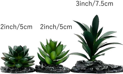 Reptile Artificial Plants Succulent Terrarium Decorative Desert Rainforest Plant Lizard Beard Chameleon Gecko Snake Amphibious Sea Turtle Tank Accessory (Agave-Set)