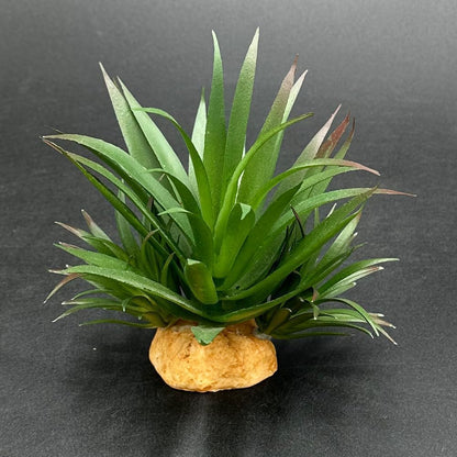 Reptile Artificial Plants Succulent Terrarium Decorative Desert Rainforest Plant Lizard Beard Chameleon Gecko Snake Amphibious Sea Turtle Tank Accessory (Agave-Set)