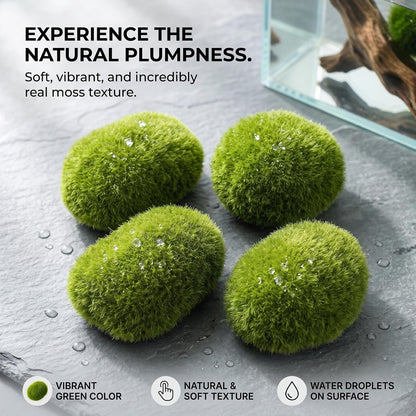 4PCS Moss Balls for Aquarium, Lifelike Aquarium Plants, Moss Balls Green for Fish Tank, 1.18-1.57 Inch, Ornaments de Jardin