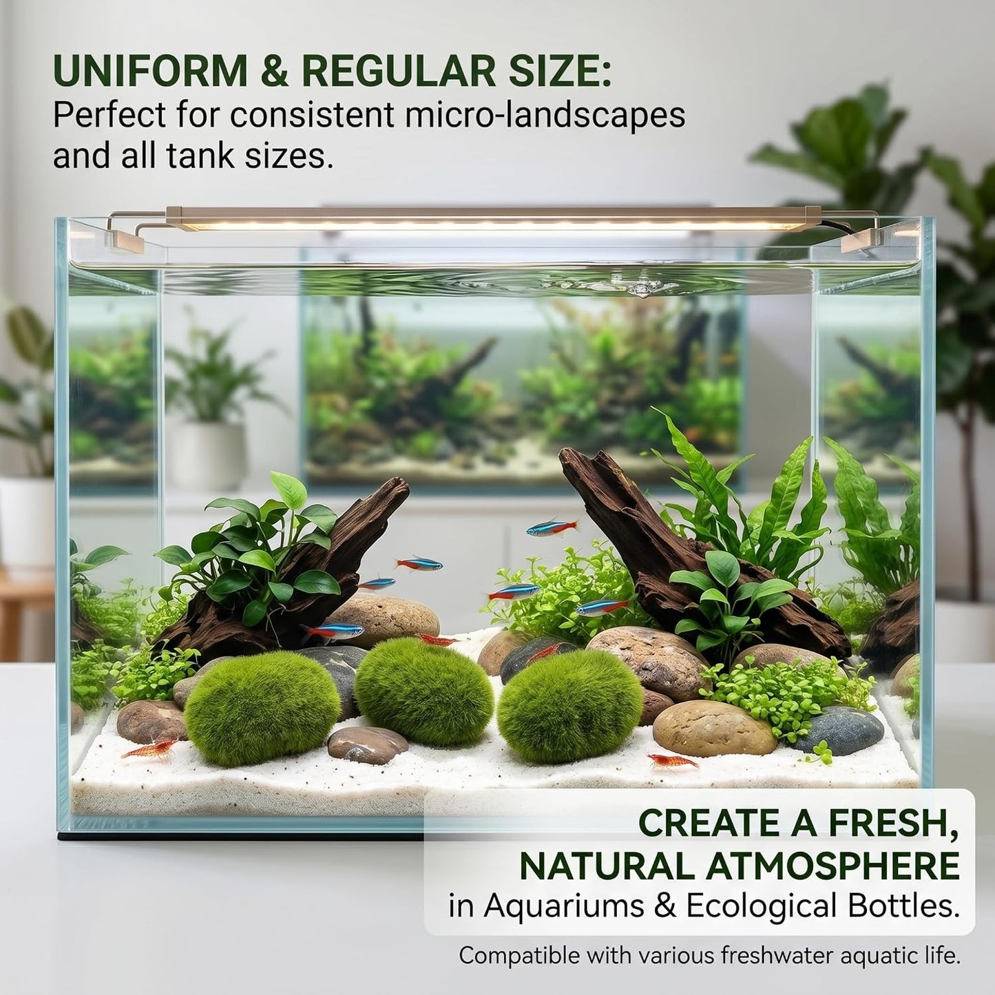 4PCS Moss Balls for Aquarium, Lifelike Aquarium Plants, Moss Balls Green for Fish Tank, 1.18-1.57 Inch, Ornaments de Jardin