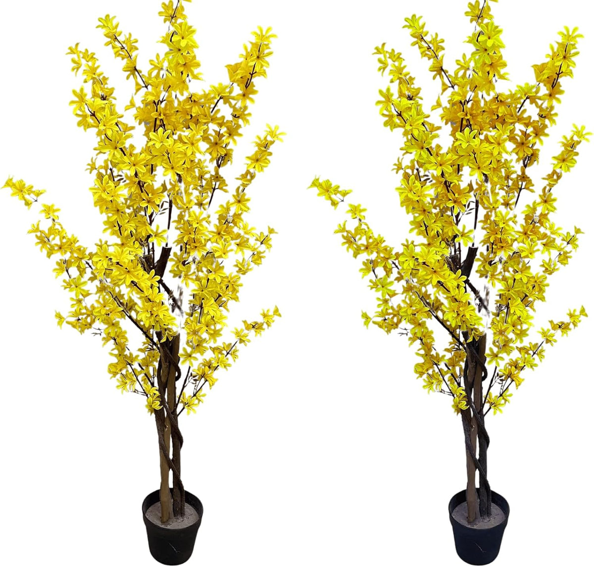 Pair 4 Feet Artificial Plant Yellow Forsythia Suspensa Trees with Nursery Pots