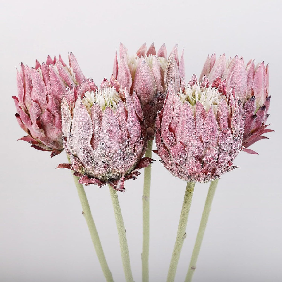 3Pcs Artificial King Protea Flower 25 Inch Fake Protea Cynaroides Bouquet Tropical Flowers Real Touch Plants Floral Tree for Wedding Table Centerpiece Decor (Pink2 Flower)