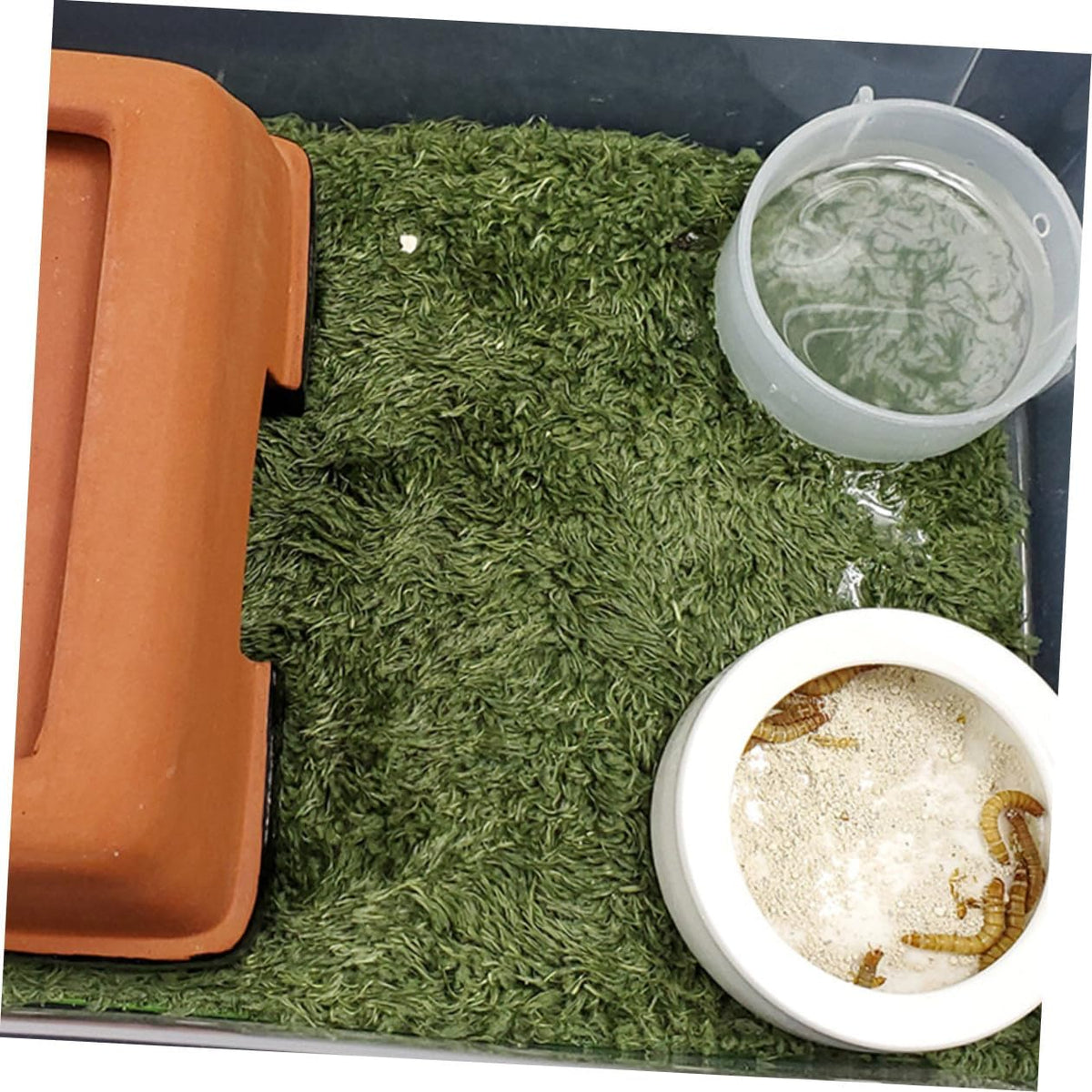 Reptile Moss Carpet for Tortoise 2pcs Artificial Grass Mats Absorbent and Moisture Retaining for Terrariums and Amphibians Green Fake Plant Decoration