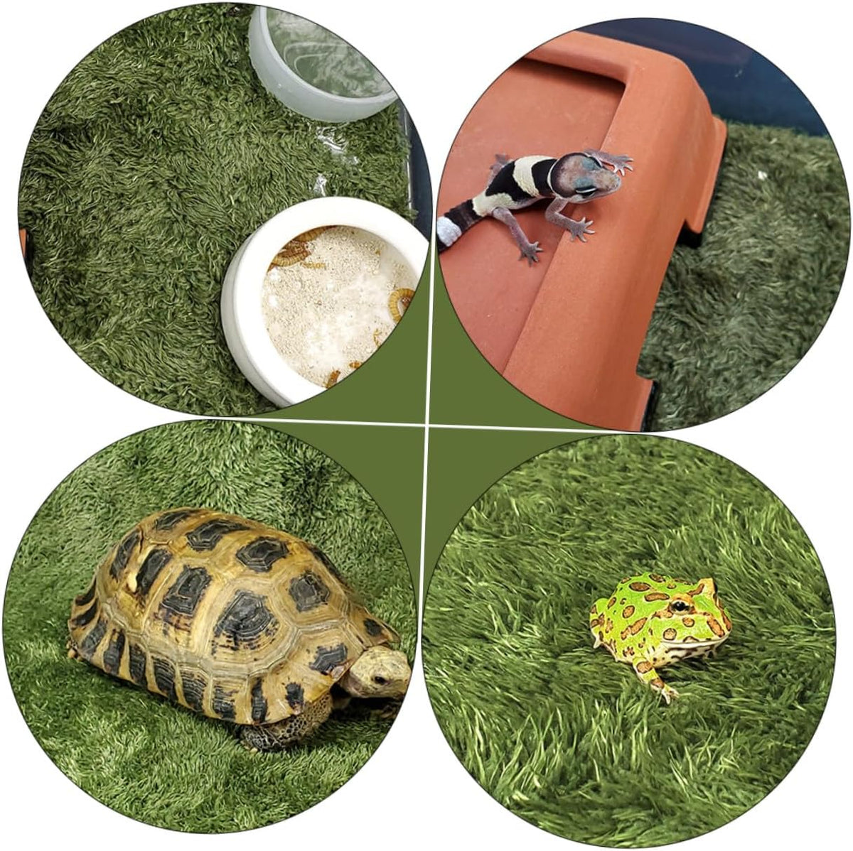 Reptile Moss Carpet for Tortoise 2pcs Artificial Grass Mats Absorbent and Moisture Retaining for Terrariums and Amphibians Green Fake Plant Decoration