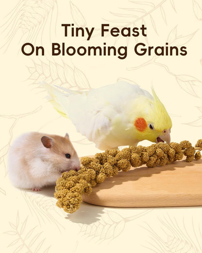 BUCATSTATE Natural Hamster Bedding