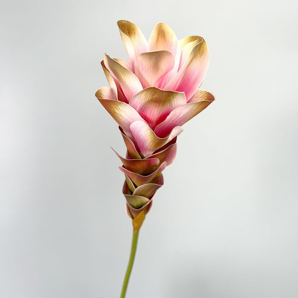 2Pcs 24" Artificial Ginger Lily Stem Fake Bromeliad Flowers Ginger Lotus