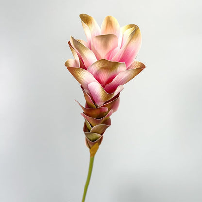 2Pcs 24" Artificial Ginger Lily Stem Fake Bromeliad Flowers Ginger Lotus