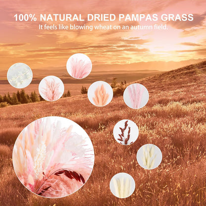 N&T NETING Dried Pampas Grass Decor- White Pampas Grass, Brown Pampas, Bunny Tail, Reed, Fluffy Dried Pompas Grass Flower for Home Wedding Table Vase Boho Modern Decor, 75Pcs