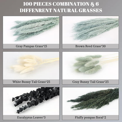 N&T NETING Dried Pampas Grass Decor- White Pampas Grass, Brown Pampas, Bunny Tail, Reed, Fluffy Dried Pompas Grass Flower for Home Wedding Table Vase Boho Modern Decor, 75Pcs