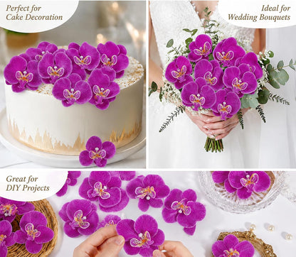 Dark Purple Artificial 40 Pcs Artificial Orchid Head Faux Orchid Petal