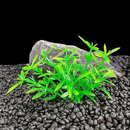 Aquarium Plant Fish Tank Decoration 20 Pieces Small/1" Tall Plastic Artificial Plant Goldfish Hidden Mini Grass Set (Green-C)