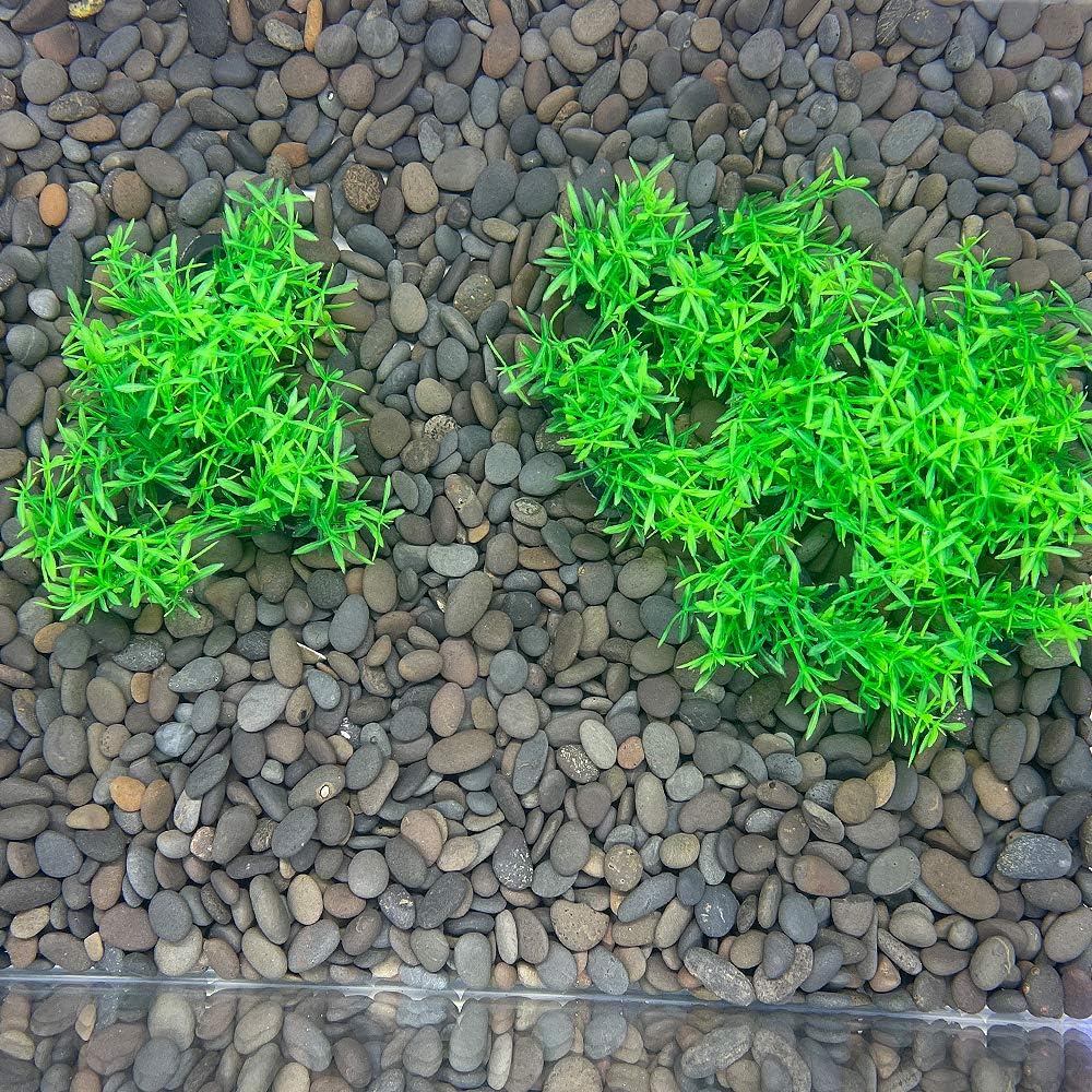 Aquarium Plant Fish Tank Decoration 20 Pieces Small/1" Tall Plastic Artificial Plant Goldfish Hidden Mini Grass Set (Green-C)