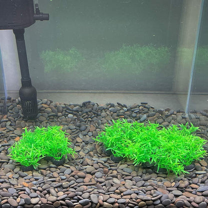 Aquarium Plant Fish Tank Decoration 20 Pieces Small/1" Tall Plastic Artificial Plant Goldfish Hidden Mini Grass Set (Green-C)