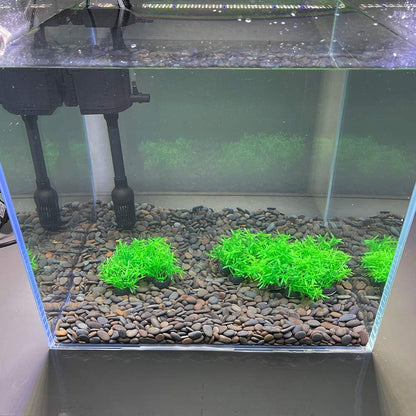 Aquarium Plant Fish Tank Decoration 20 Pieces Small/1" Tall Plastic Artificial Plant Goldfish Hidden Mini Grass Set (Green-C)