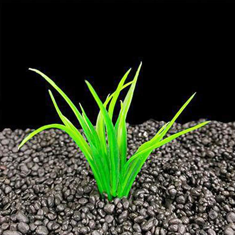 Aquarium Plant Fish Tank Decoration 20 Pieces Small/1" Tall Plastic Artificial Plant Goldfish Hidden Mini Grass Set (Green-C)