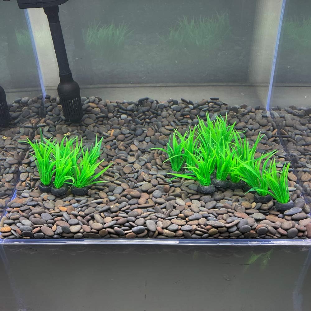 Aquarium Plant Fish Tank Decoration 20 Pieces Small/1" Tall Plastic Artificial Plant Goldfish Hidden Mini Grass Set (Green-C)