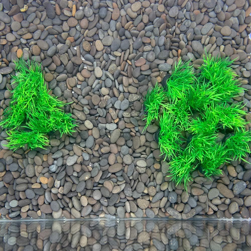 Aquarium Plant Fish Tank Decoration 20 Pieces Small/1" Tall Plastic Artificial Plant Goldfish Hidden Mini Grass Set (Green-C)