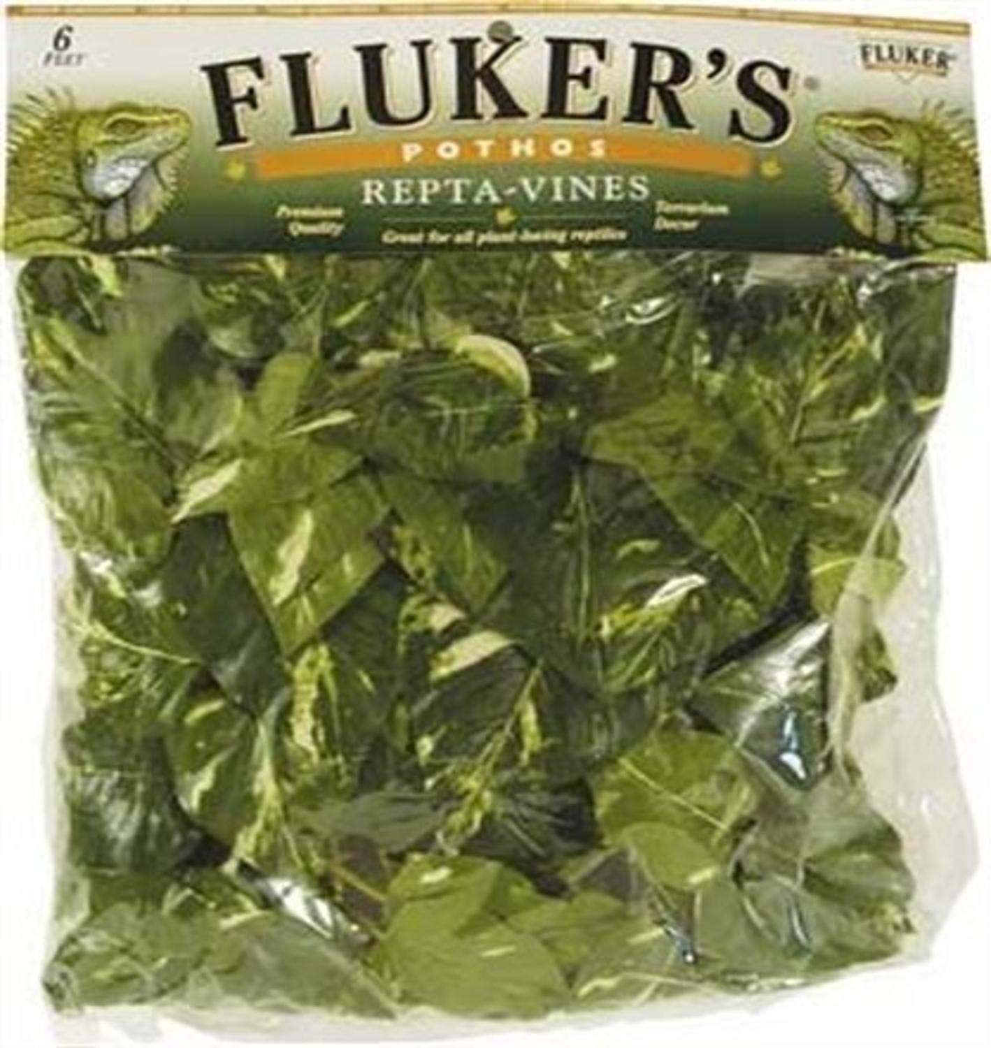 Repta Vines for Reptiles and Amphibians Terrariums, Pothos