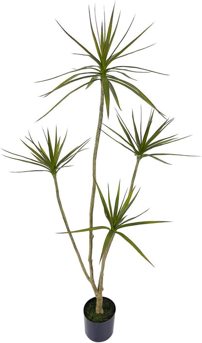 Artificial Dracaena marginata Plant,5ft Tall Fake Tree