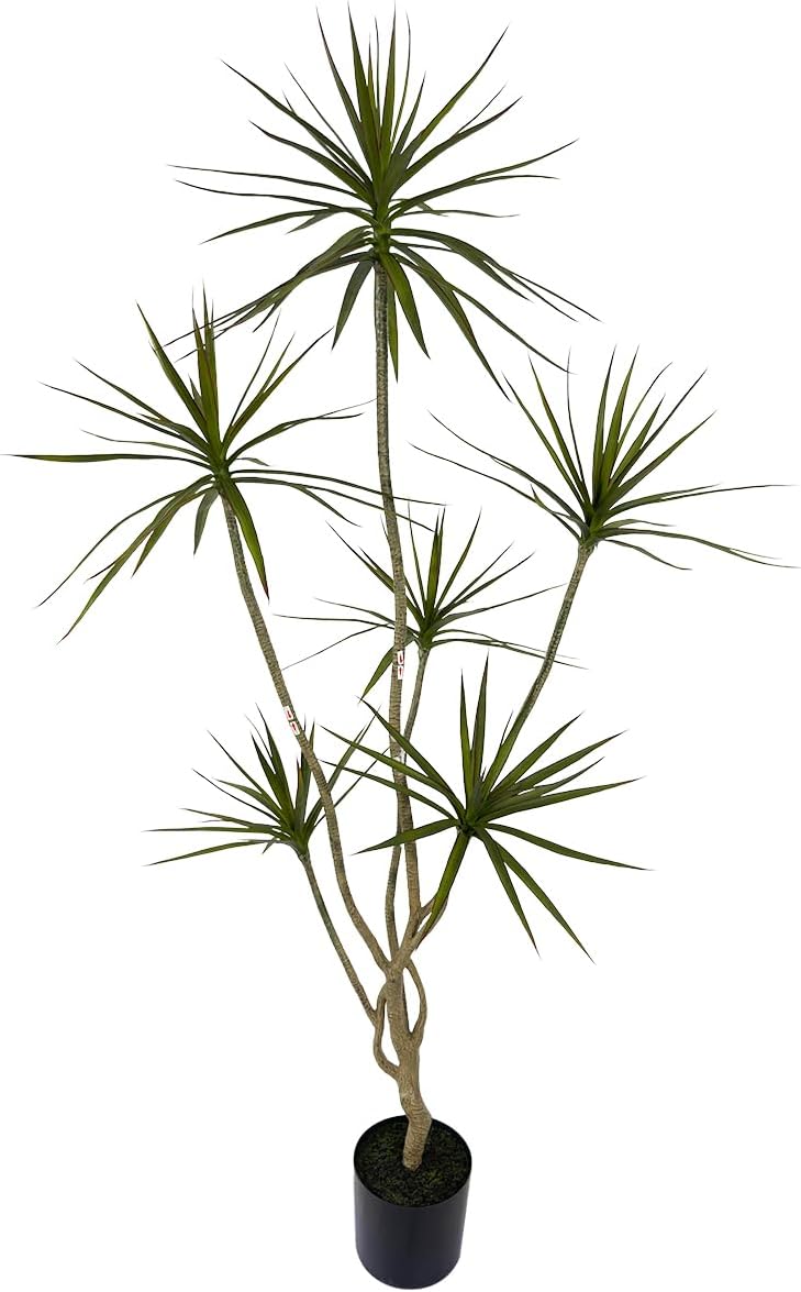 Artificial Dracaena marginata Plant,5ft Tall Fake Tree