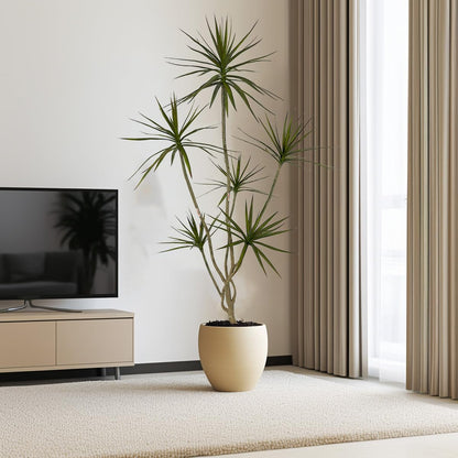 Artificial Dracaena marginata Plant,5ft Tall Fake Tree