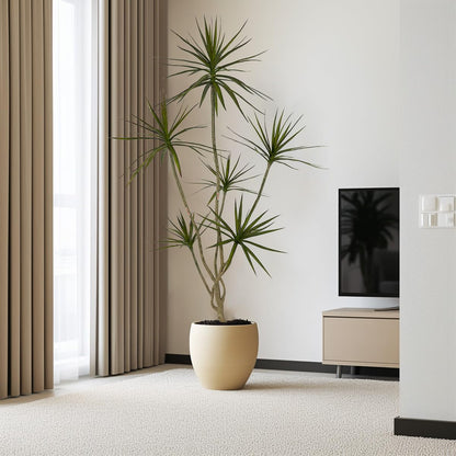 Artificial Dracaena marginata Plant,5ft Tall Fake Tree