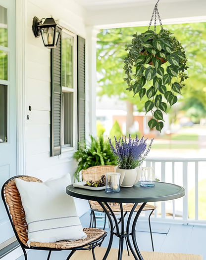 Fake Hanging Plant with Pot, Large Hanging Artificial Plants with Basket & Hanger Faux Greenery Plants Indoor Outdoor Decor Fake Alocasia Longiloba Plant in Pot for Wall Balcony Patio Office Bathroom