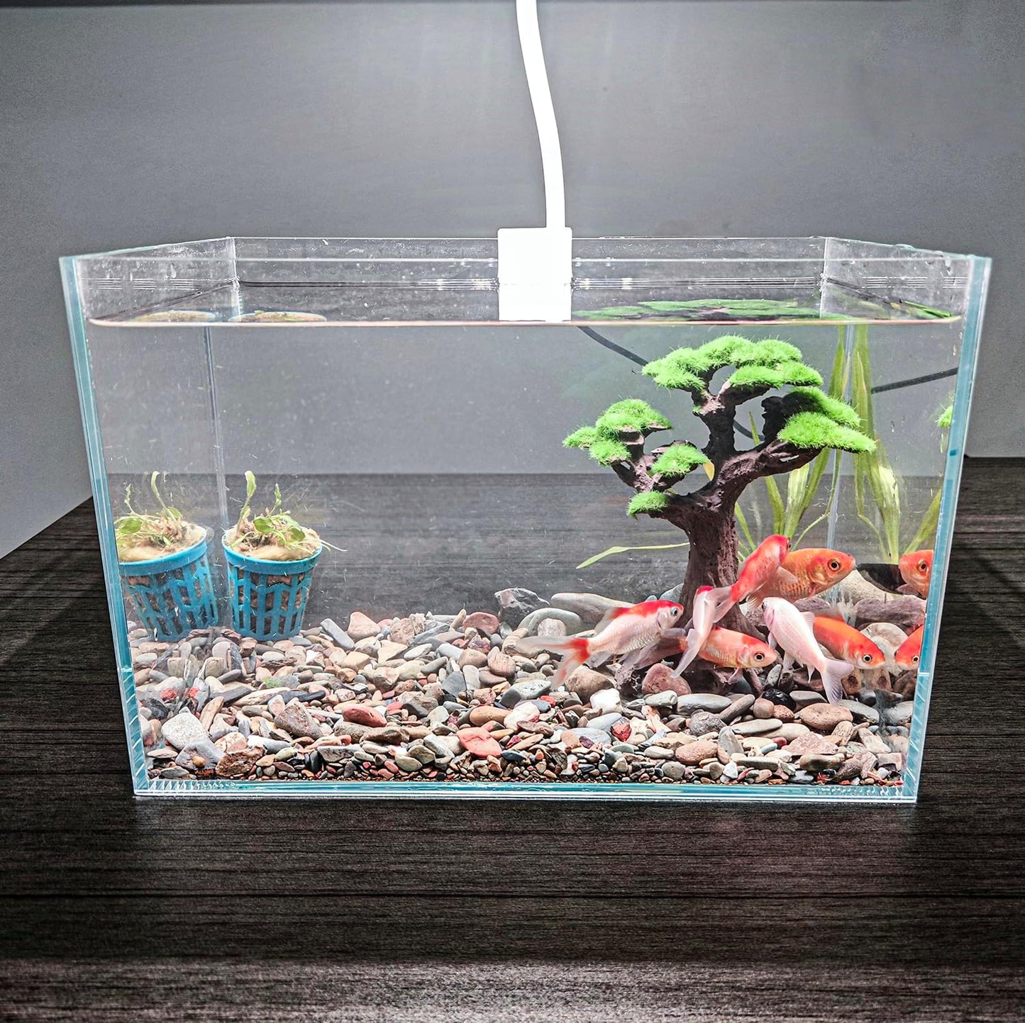 Fish Tank Decor- Bonsai Trees with Faux Moss- Aquarium Rocks Aquascaping- Made of Sandstone, Goldfish Betta Fish Tank Decorations Hides Accessories
